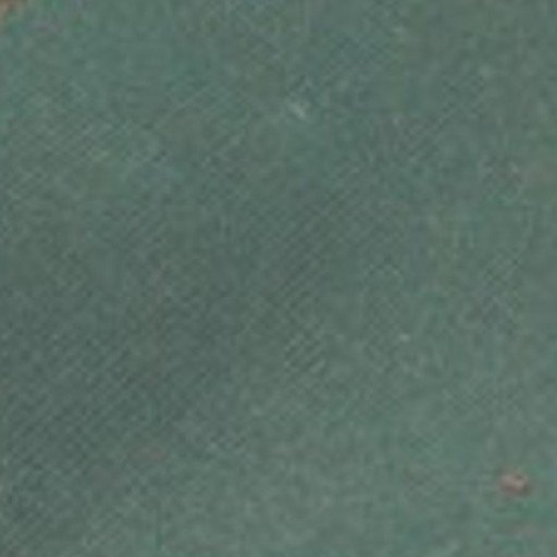 Ivy swatch